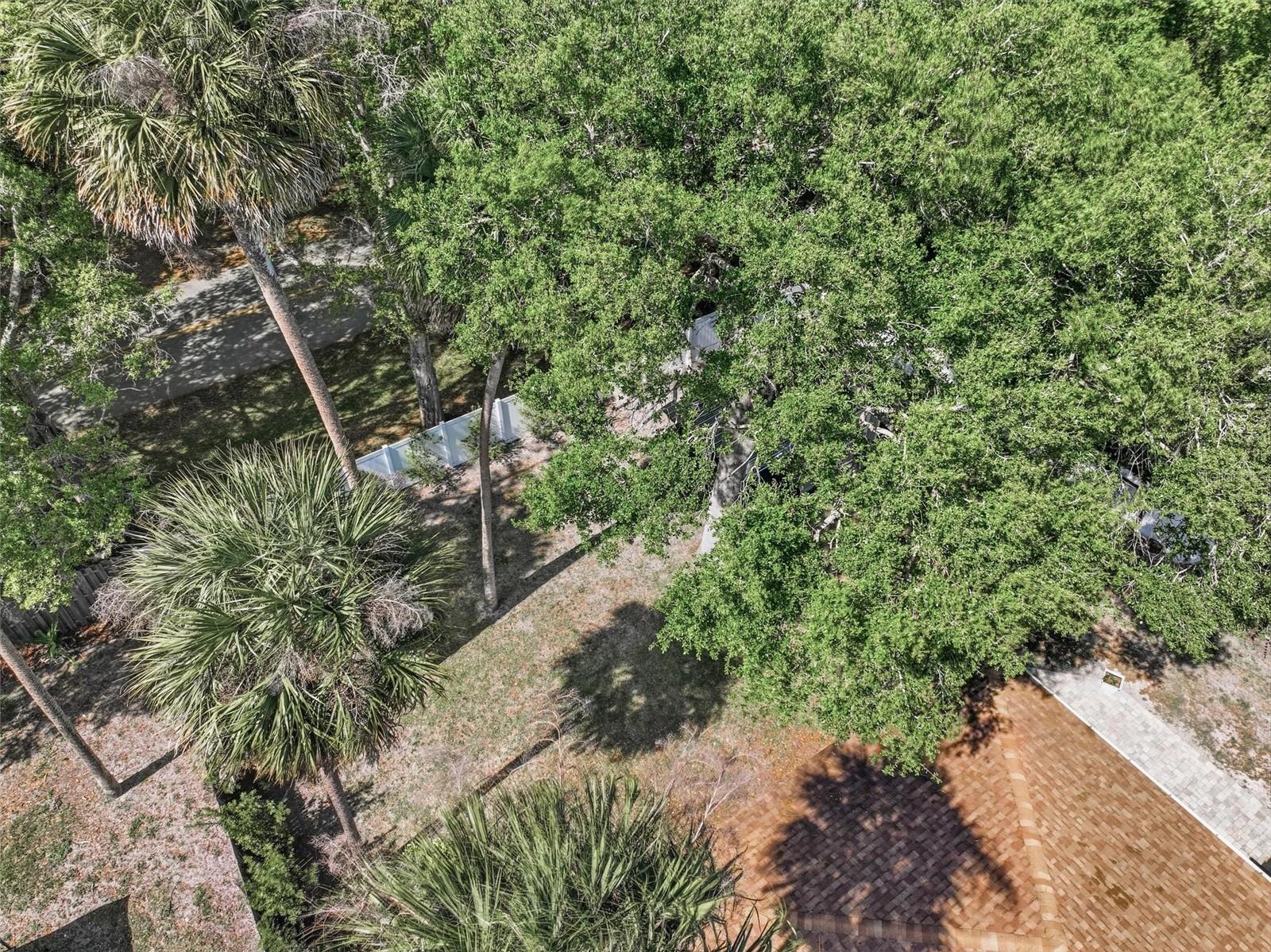 PALM COAST/BERNARD MDWS SEC 81 - Residential