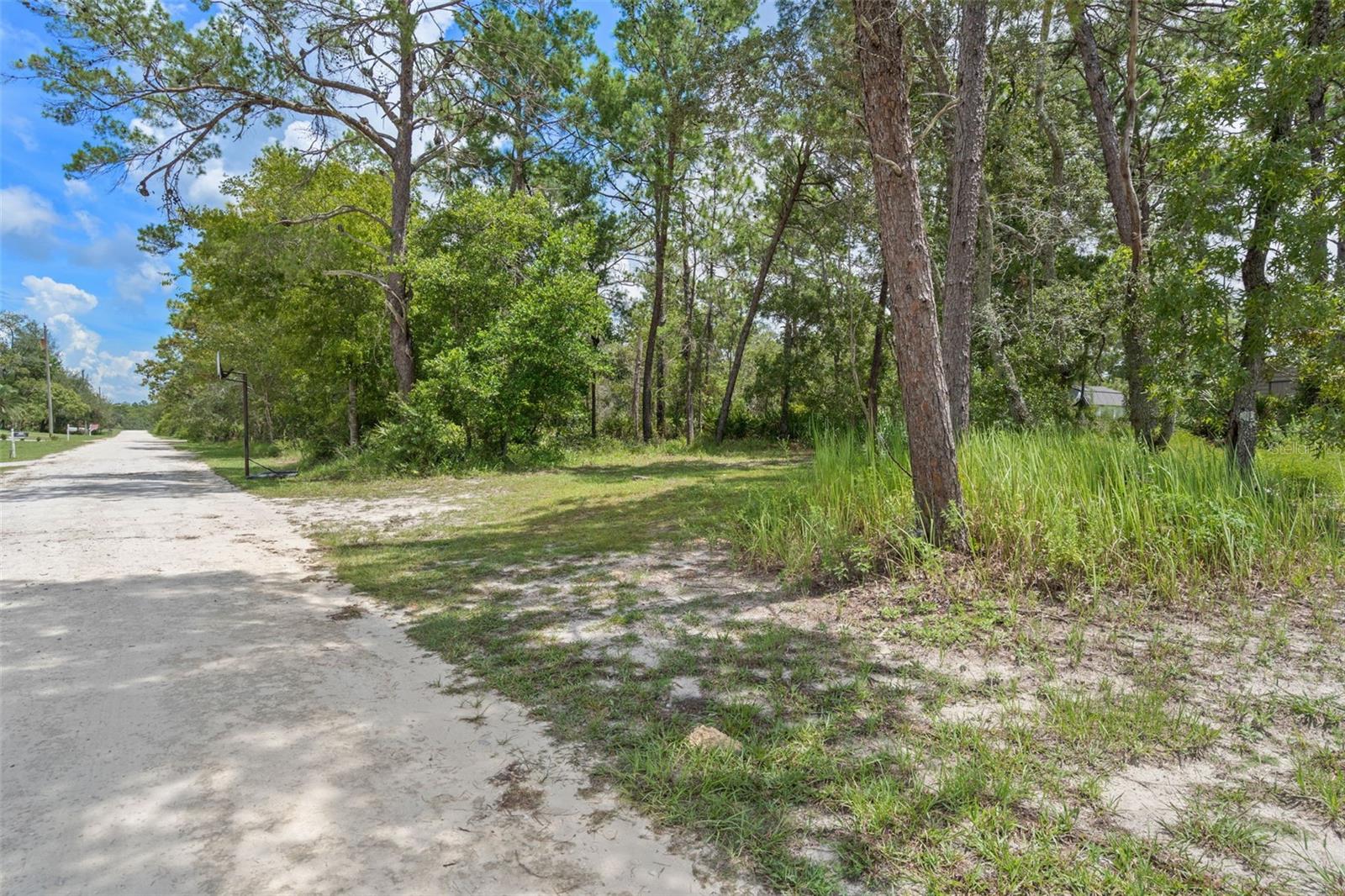 Looking for a high and dry and spacious (.32 acre) lot on which to build your dream home? You have found it right here on Nakoma Way. Flat and situated for an easy build, this beautiful land has NO HOA or CDD. Even better, this perfectly located property is minutes from the coast and all the fun to be had there, every major thoroughfare in Hernando County, shopping, entertainment, schools, and medical facilities. Citrus and Pasco Counties are an easy drive north or south, and if you're looking for a multigenerational place to build, the adjacent lot is also for sale...MLS #Looking for a high and dry and spacious (.32 acre) lot on which to build your dream home? You have found it right here on Nakoma Way. Flat and situated for an easy build, this beautiful land has NO HOA or CDD. Even better, this perfectly located property is minutes from the coast and all the fun to be had there, every major thoroughfare in Hernando County, shopping, entertainment, schools, and medical facilities. Citrus and Pasco Counties are an easy drive north or south, and if you're looking for a multigenerational place to build, the adjacent lot is also for sale...MLS #W7878237. This gem won't last long, so call today!