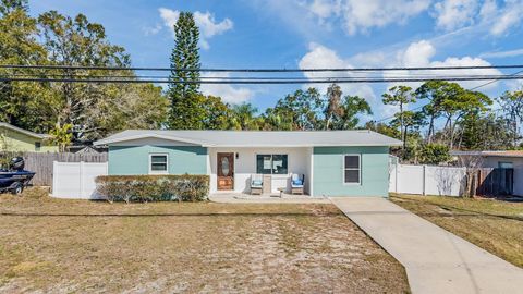 66 LAKE SHORE DRIVE PALM HARBOR FL 34684