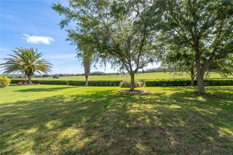 Tiny photo for 270 Matisse Avenue, The Villages, FL 32162 (MLS # G5110907)