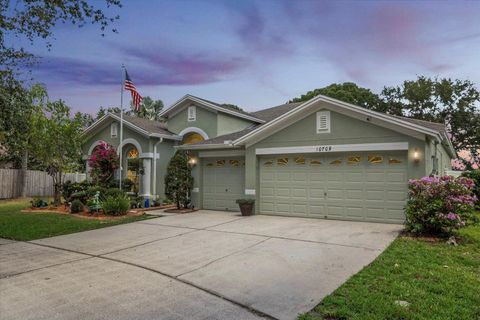 10709 ROCKLEDGE VIEW DRIVE RIVERVIEW FL 33579