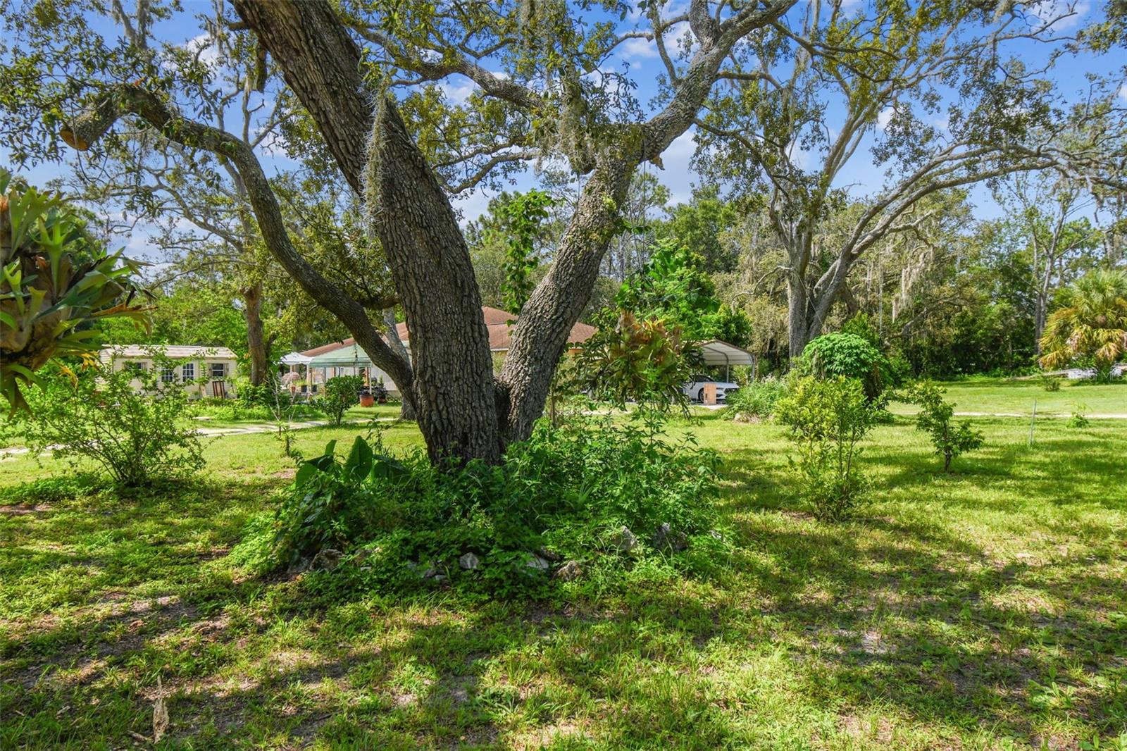 LAKEWOOD ACRES - Residential