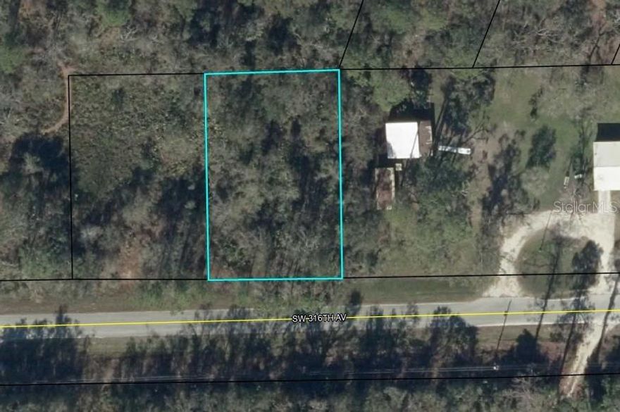 Great property in Cross City right off of Hwy 19 and in an area of nice homes with many parcel over 1 acre. The property is .34 acres and the property to the west of this may also be available.