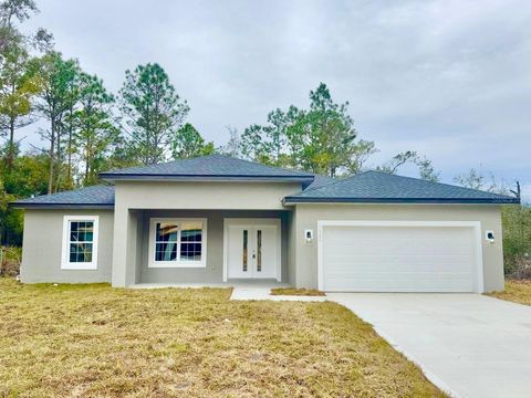 A home in CITRUS SPRINGS