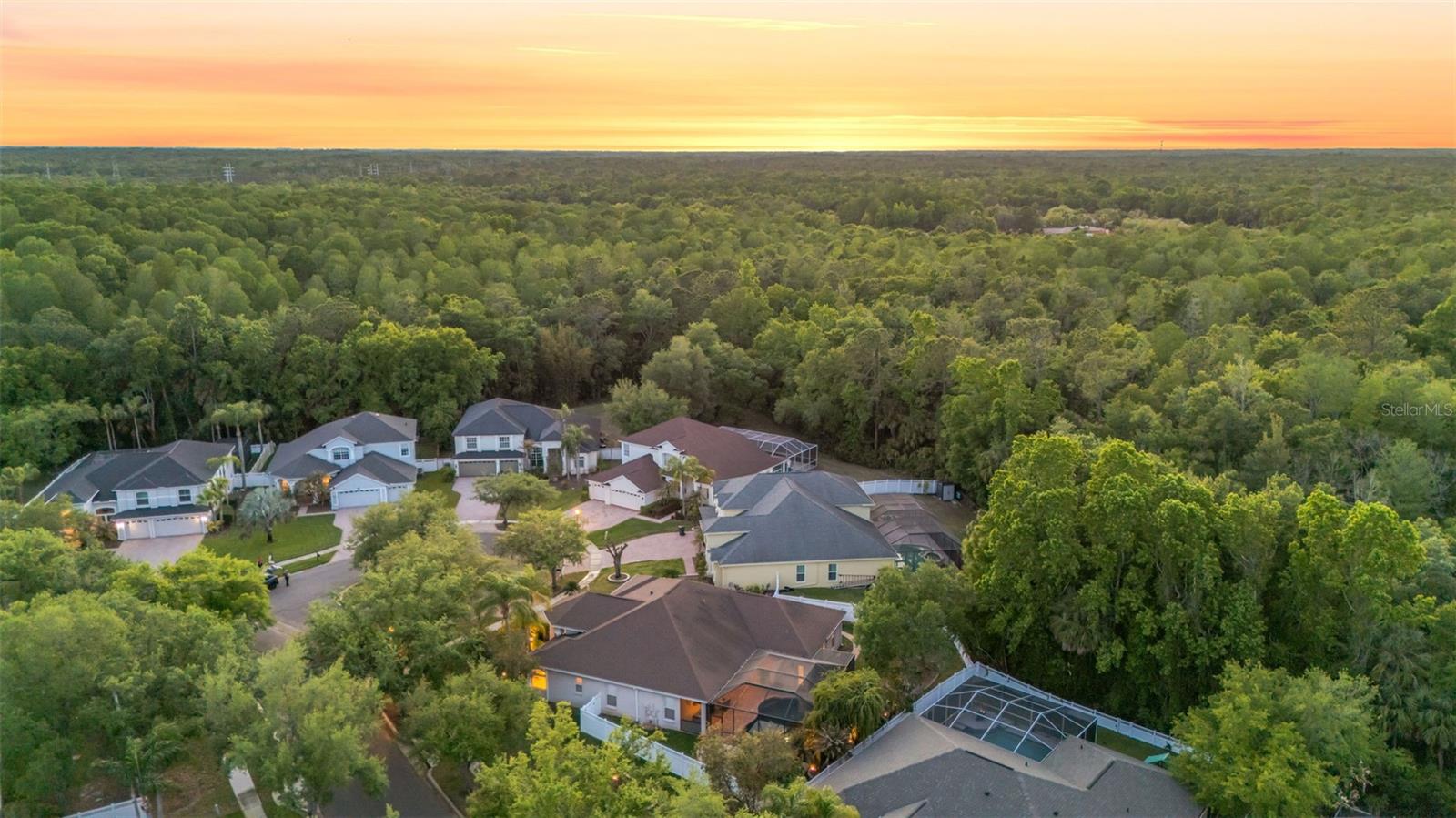 TAMPA PALMS AREA 4 PRCL 21 R - Residential