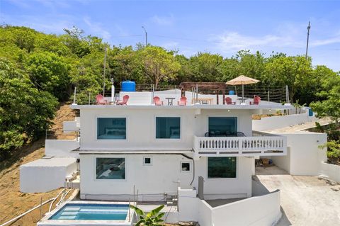 Parcela 20 PLAYA GUAYANÉS, BARRIO GUAYANÉS YABUCOA  00767