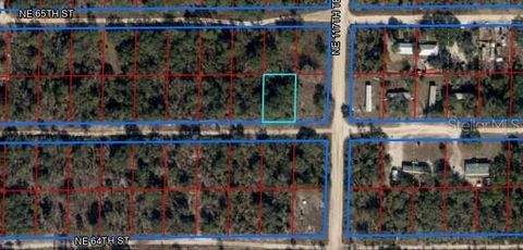 NE 64TH PLACE WILLISTON FL 32696