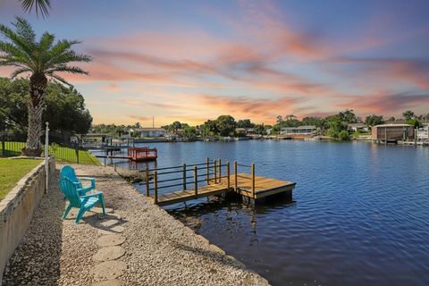 Photo of 1305 Basswood Drive, Holiday, FL 34690 (MLS # TB8433779)