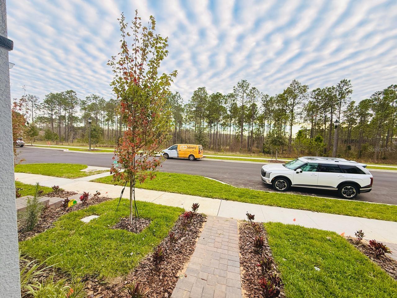 TRIBUTE AT OVATION - Residential Lease