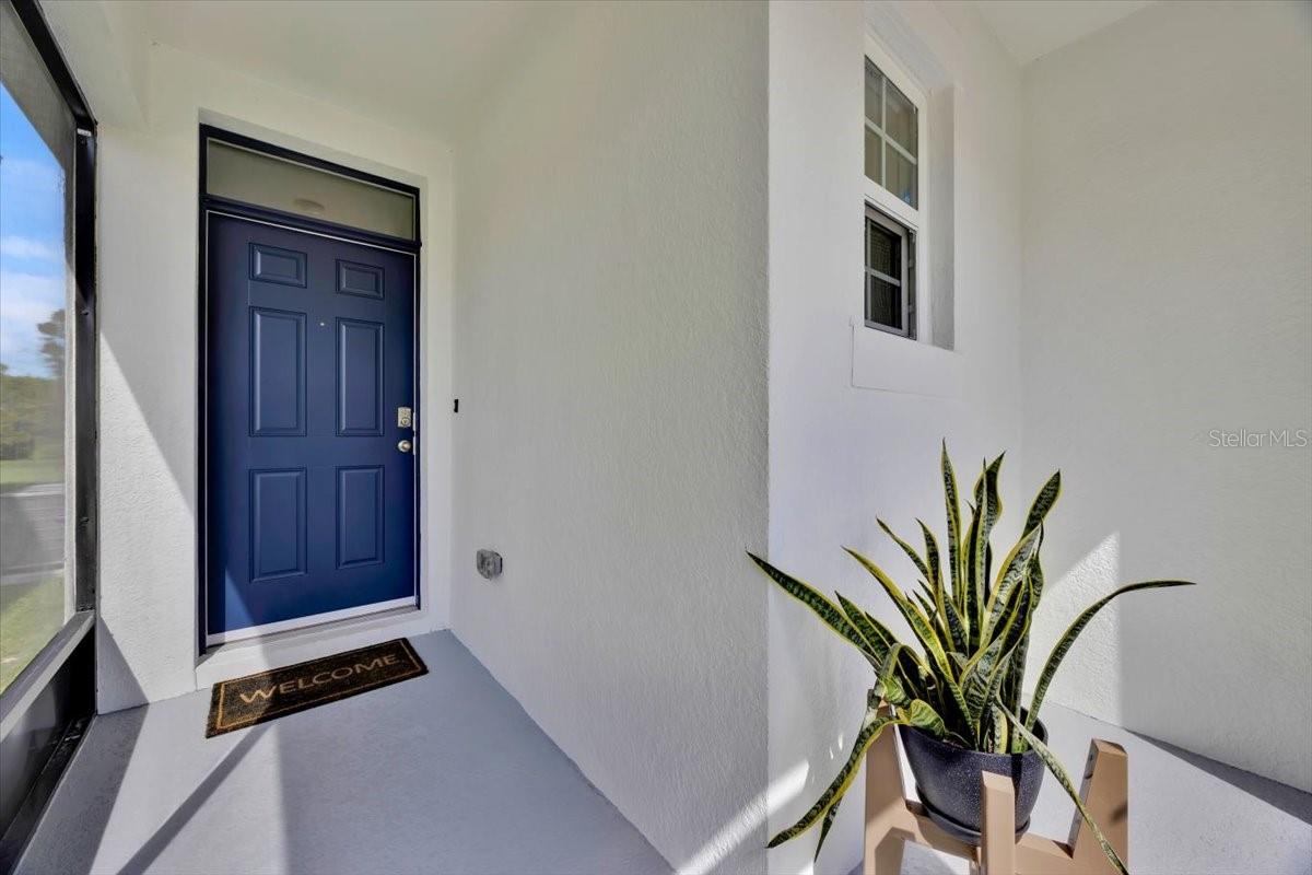 2497 RIBBON FALL AVENUE