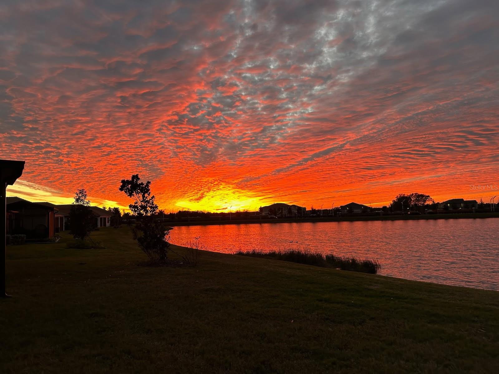 FOREST BROOKE ACTIVE ADULT - Residential