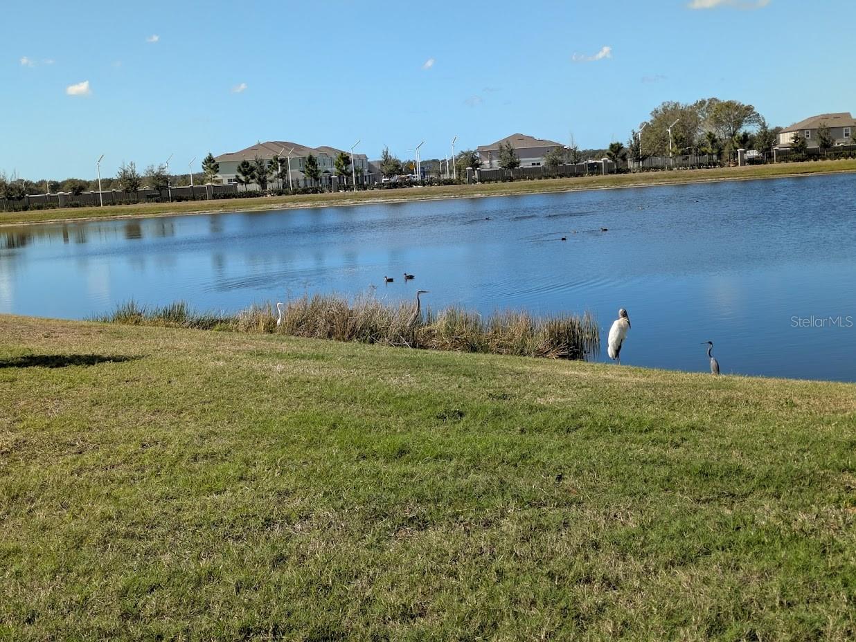 FOREST BROOKE ACTIVE ADULT - Residential