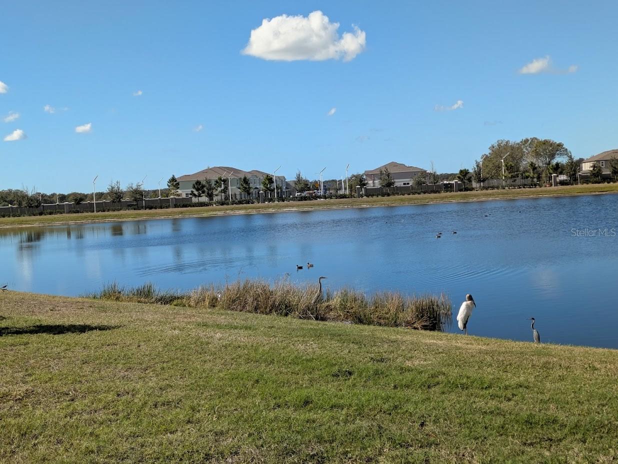 FOREST BROOKE ACTIVE ADULT - Residential