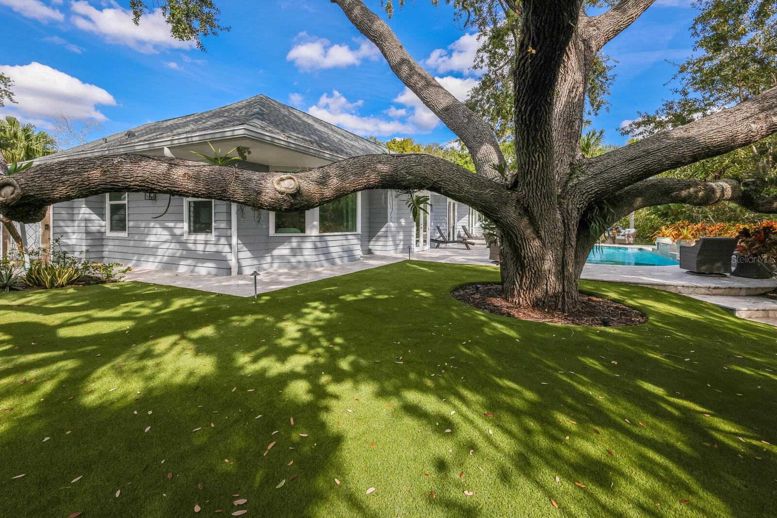 SIESTA PROPERTIES INC - Residential