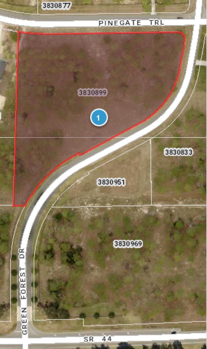 35135 PINEGATE TRAIL