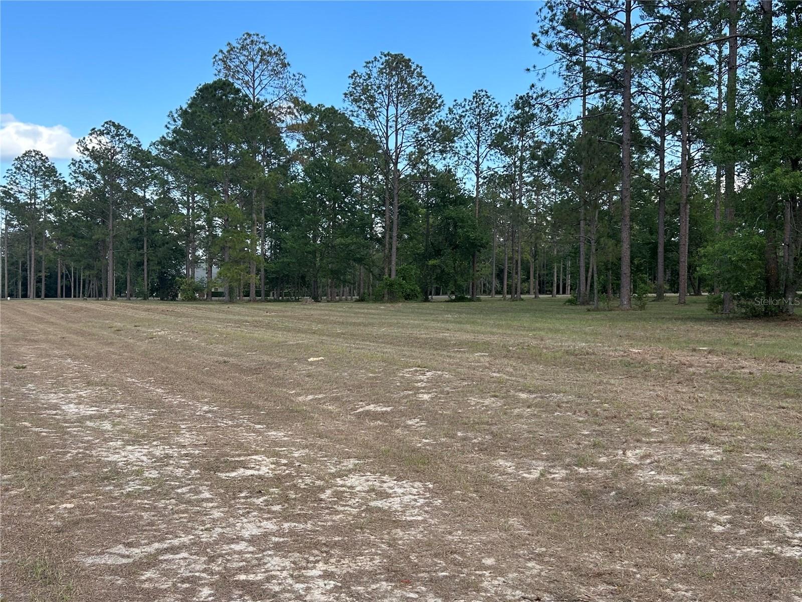 35135 PINEGATE TRAIL
