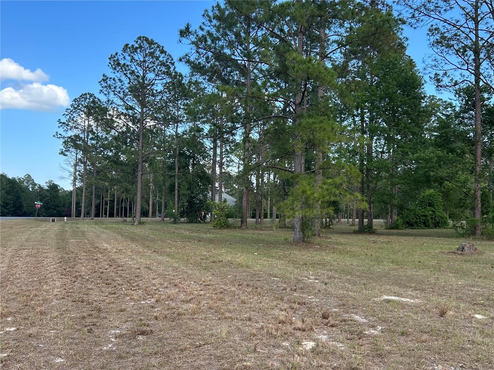 35135 PINEGATE TRAIL