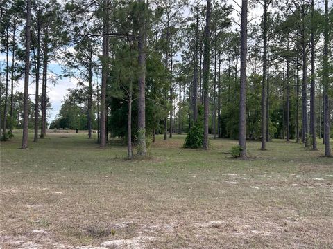 35135 PINEGATE TRAIL EUSTIS FL 32736