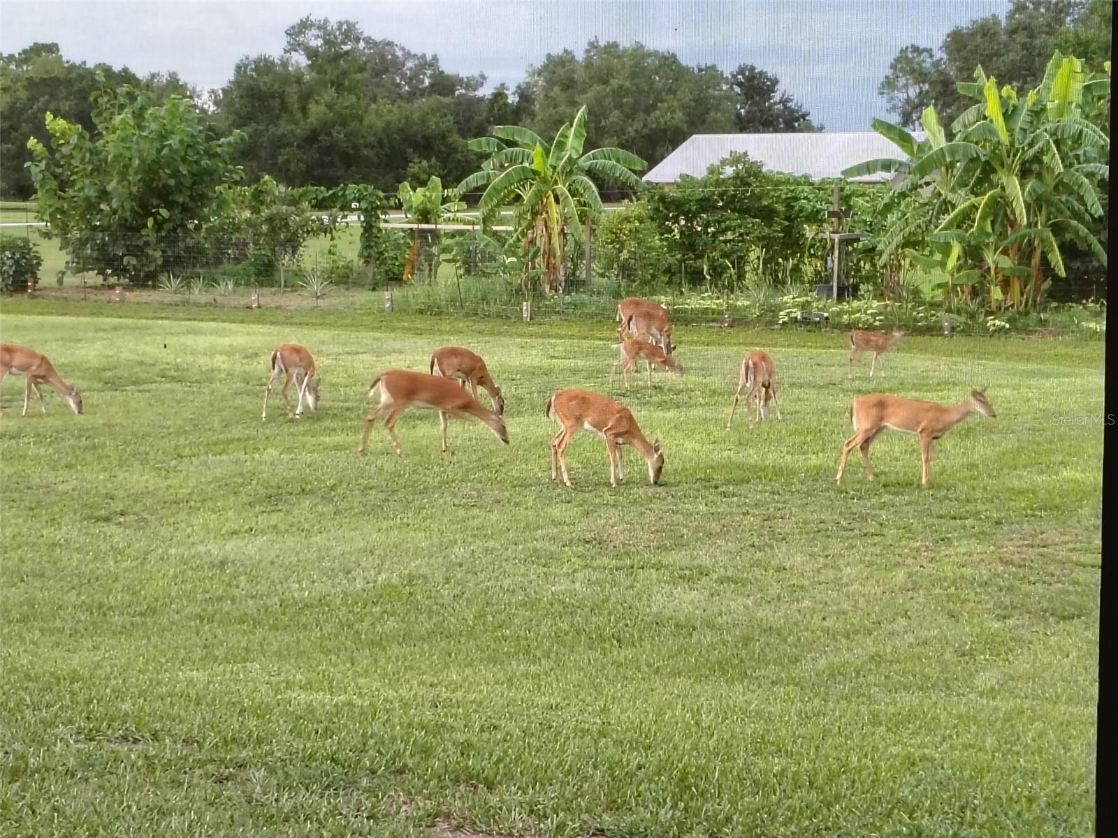 HIDDEN RIVER REP - Residential