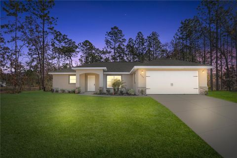 A home in CITRUS SPRINGS