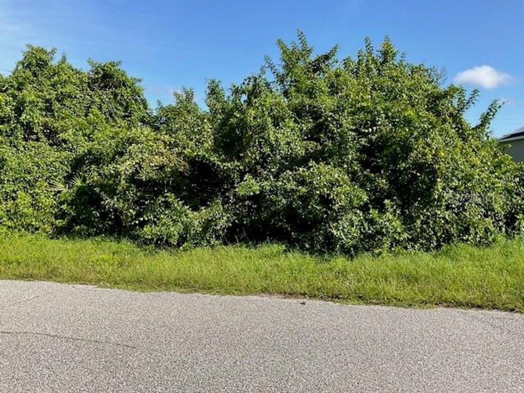 Photo of 236 Berthoud Street, Port Charlotte, FL 33953 (MLS # TB8438593)