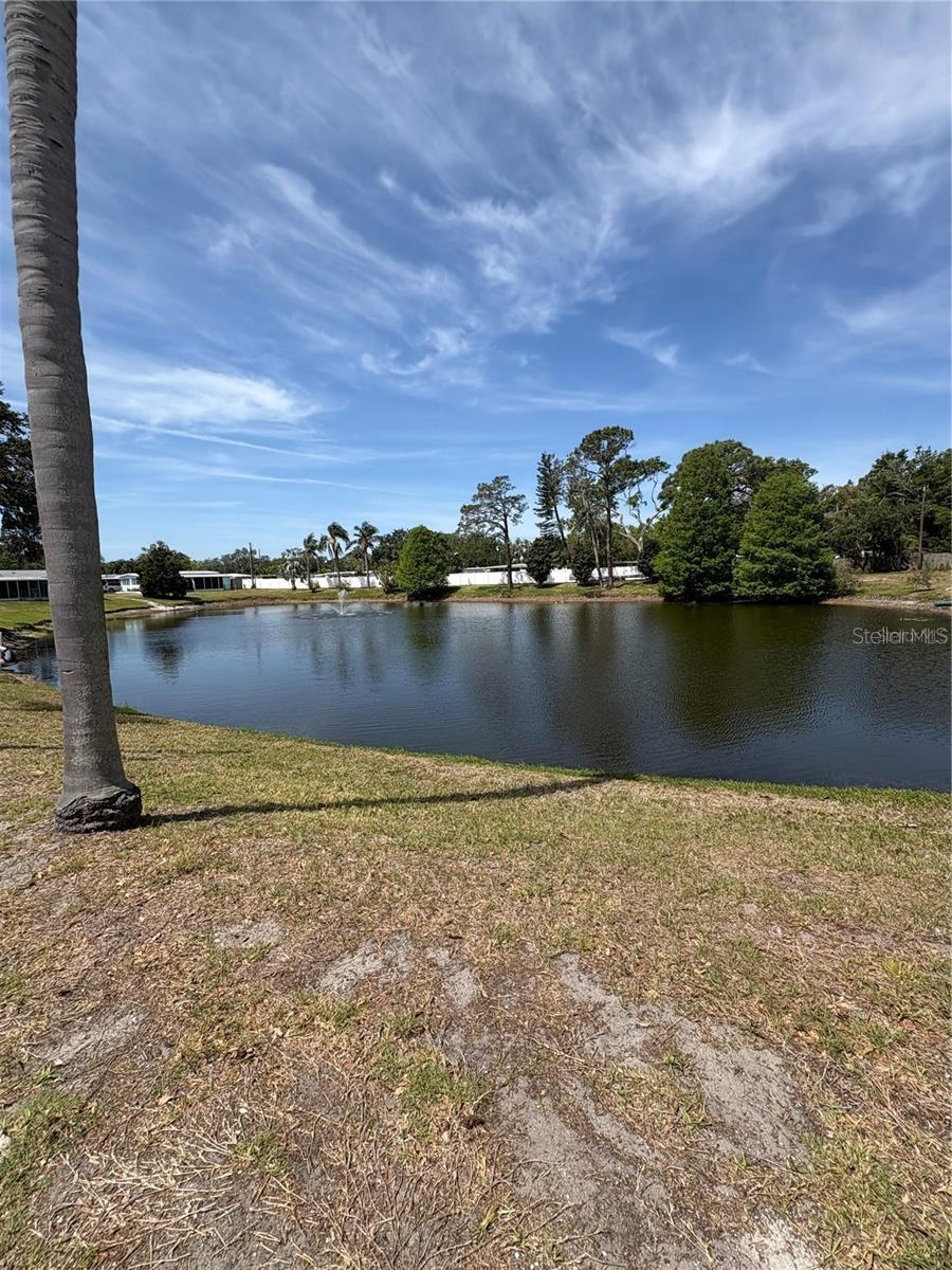 LAKE SEMINOLE RESORT NORTH M/H UNREC - Residential