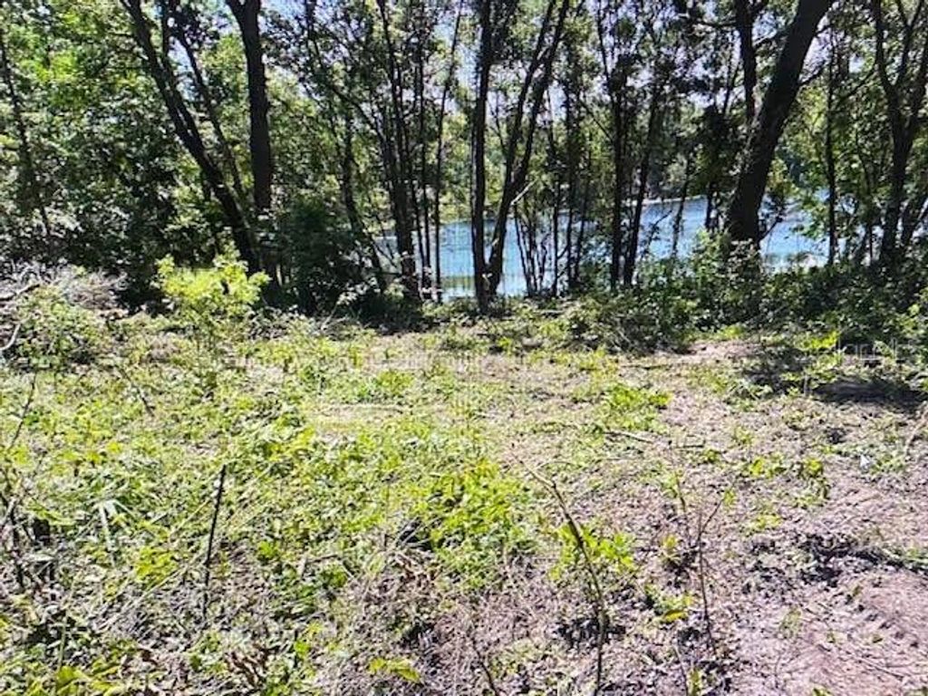 Photo of 2 Spring Lake Road, Fruitland Park, FL 34731 (MLS # G5109545)