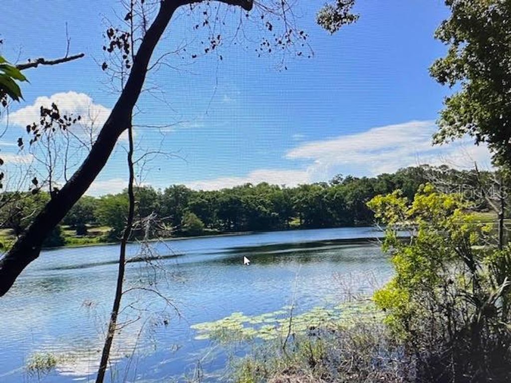 Photo of 2 Spring Lake Road, Fruitland Park, FL 34731 (MLS # G5109545)