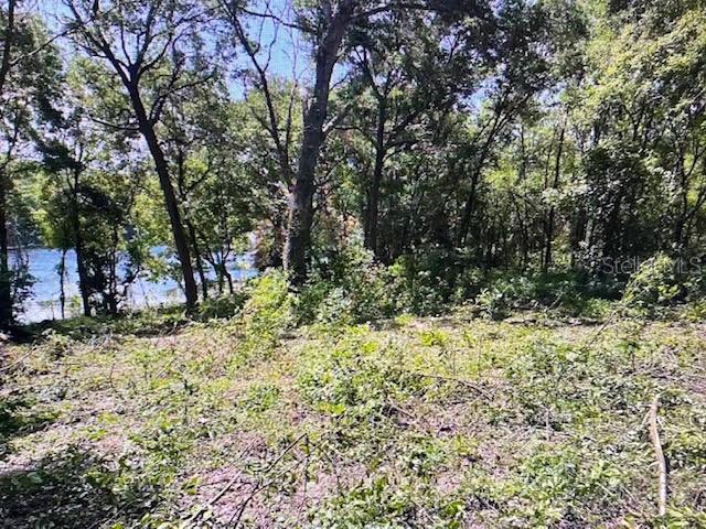 2&3 SPRING LAKE ROAD