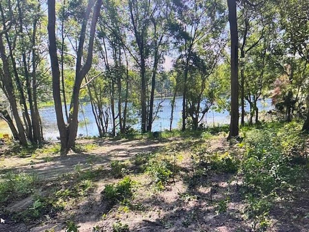 Photo of 2 Spring Lake Road, Fruitland Park, FL 34731 (MLS # G5109545)