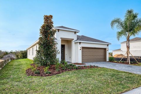 Tiny photo for 3036 Suraj Circle, Tavares, FL 32778 (MLS # O6387604)