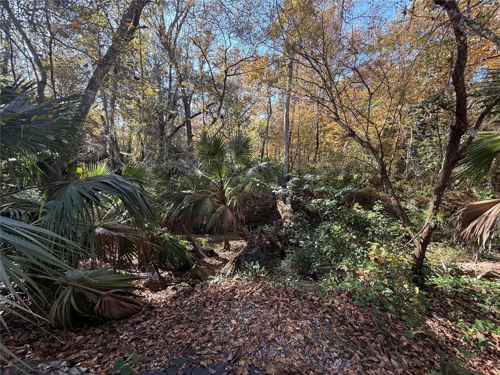 CREEKSIDE VILLAS - Residential Lease