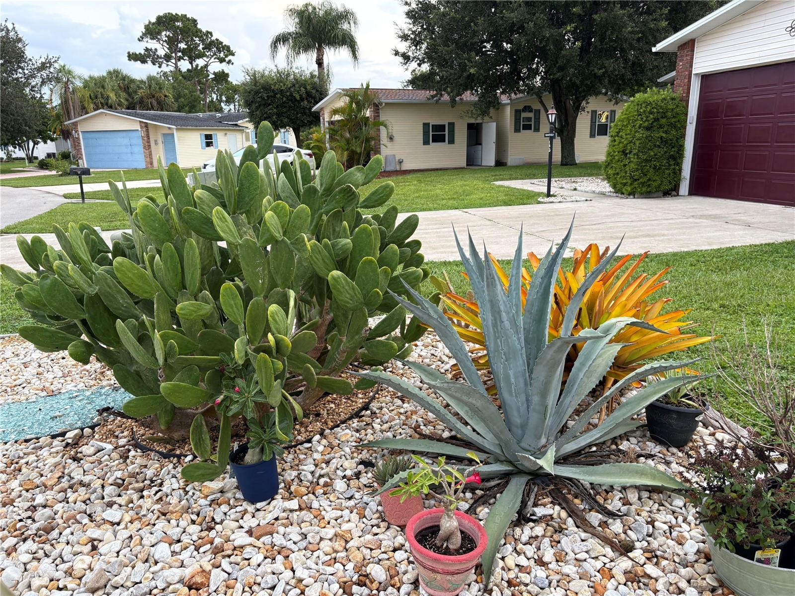 PINE LAKES COUNTRY CLUB PH 03 - Residential