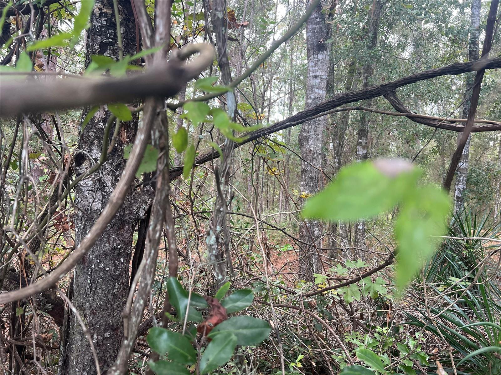 POTTERFIELD GARDEN AC - M 1 ADD - Land