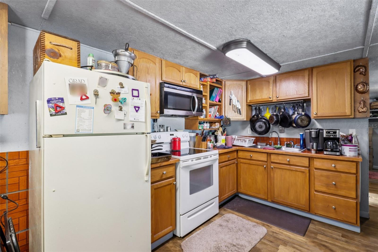 LAKE EUSTIS VILLAGE PARK - Residential