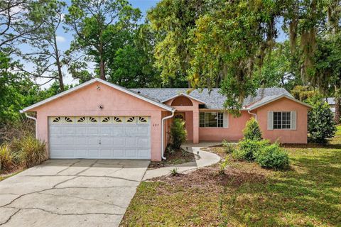601 VINCENT DRIVE MOUNT DORA FL 32757