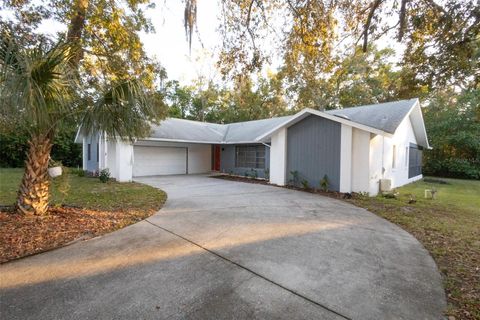 A home in HOMOSASSA