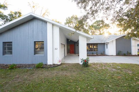 A home in HOMOSASSA