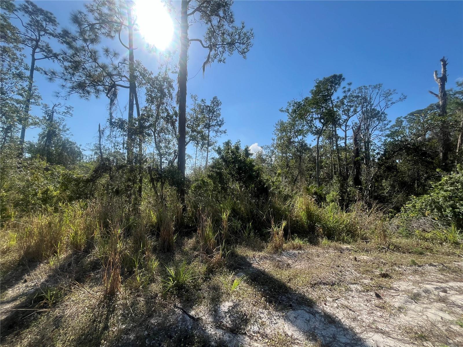 SEBRING HILLS SO - Land