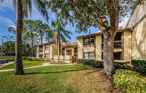 A home in OLDSMAR