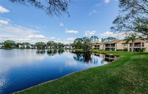 A home in OLDSMAR