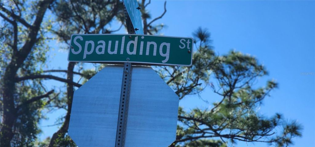 Photo of 311 Spaulding Street, Port Charlotte, FL 33953 (MLS # D6139182)