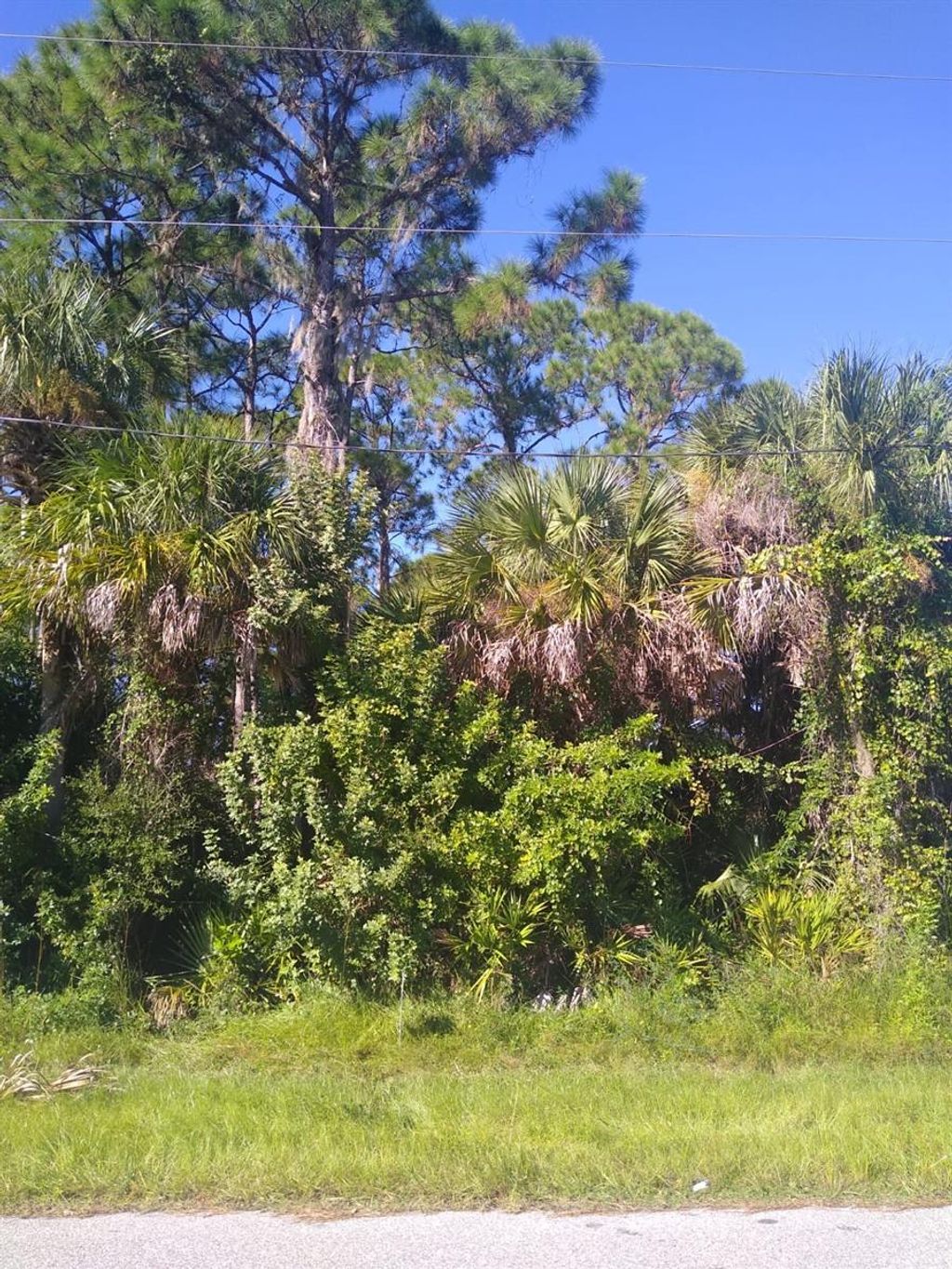 Photo of 5409 Callaway Street, Port Charlotte, FL 33981 (MLS # C7507380)