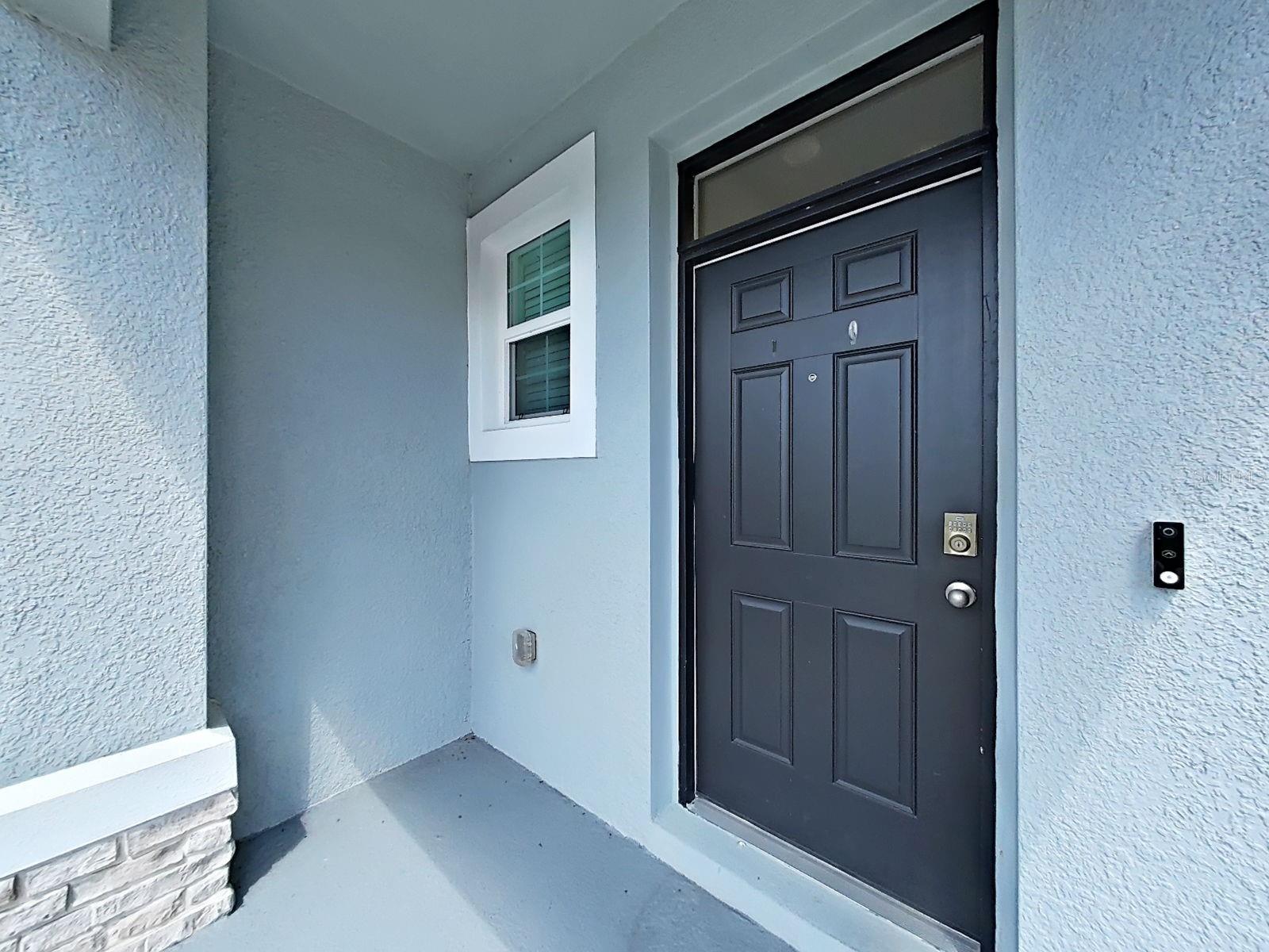 3556 WHITE DANDELION COURT