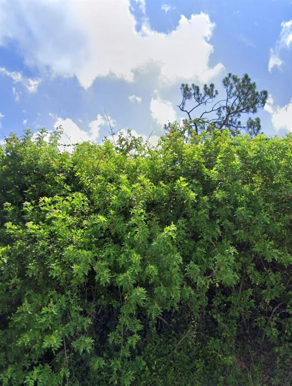 Photo of 3518 Yarrow Street, Port Charlotte, FL 33981 (MLS # C7489043)