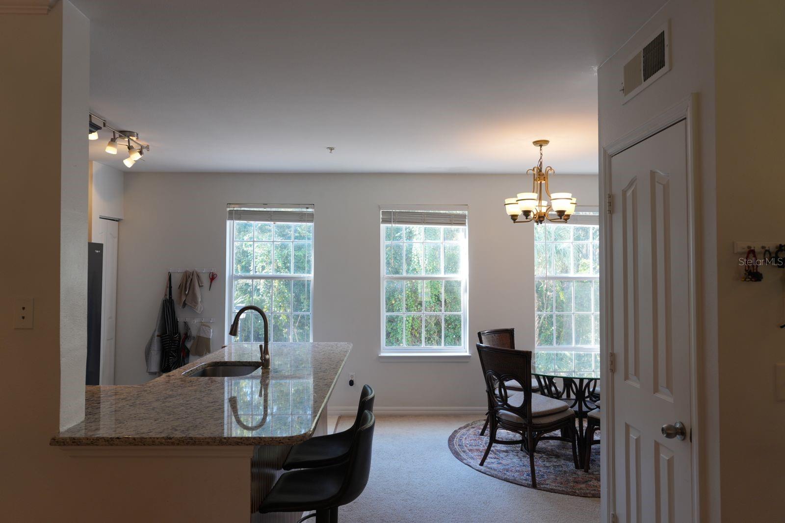 SIENA AT CELEBRATION CONDO C - Residential