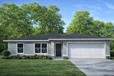 2859 SE 140TH PLACE SUMMERFIELD FL 34491