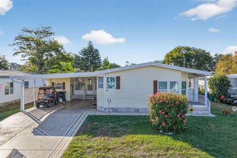 Photo of 3117 Manatee Road, Tavares, FL 32778 (MLS # G5105680)