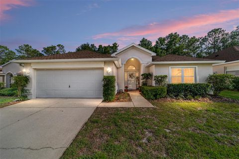 Photo of 6370 SW 117th Loop, Ocala, FL 34476 (MLS # OM724001)