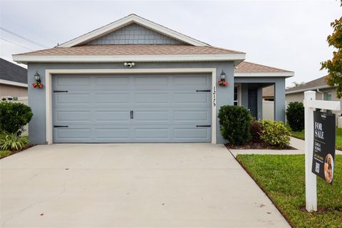 Photo of 12175 Stone Pine Street, Riverview, FL 33569 (MLS # O6365203)